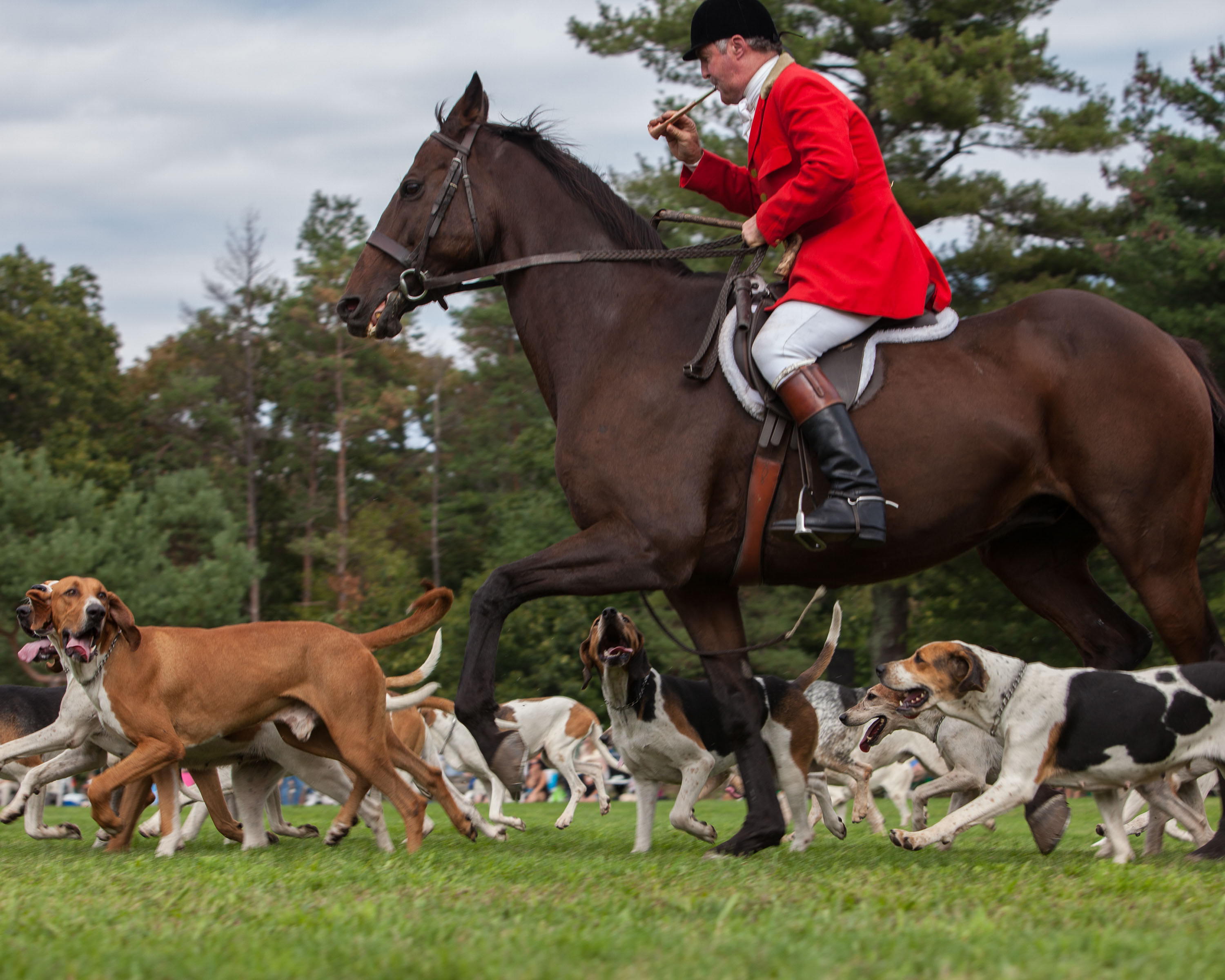 20100919-IndiaPolo-3946